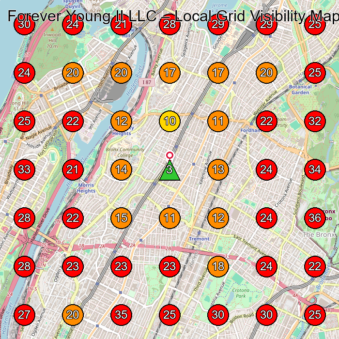 Forever Young II LLC GeoGrid visibility map for Adult Day Care Center in New York